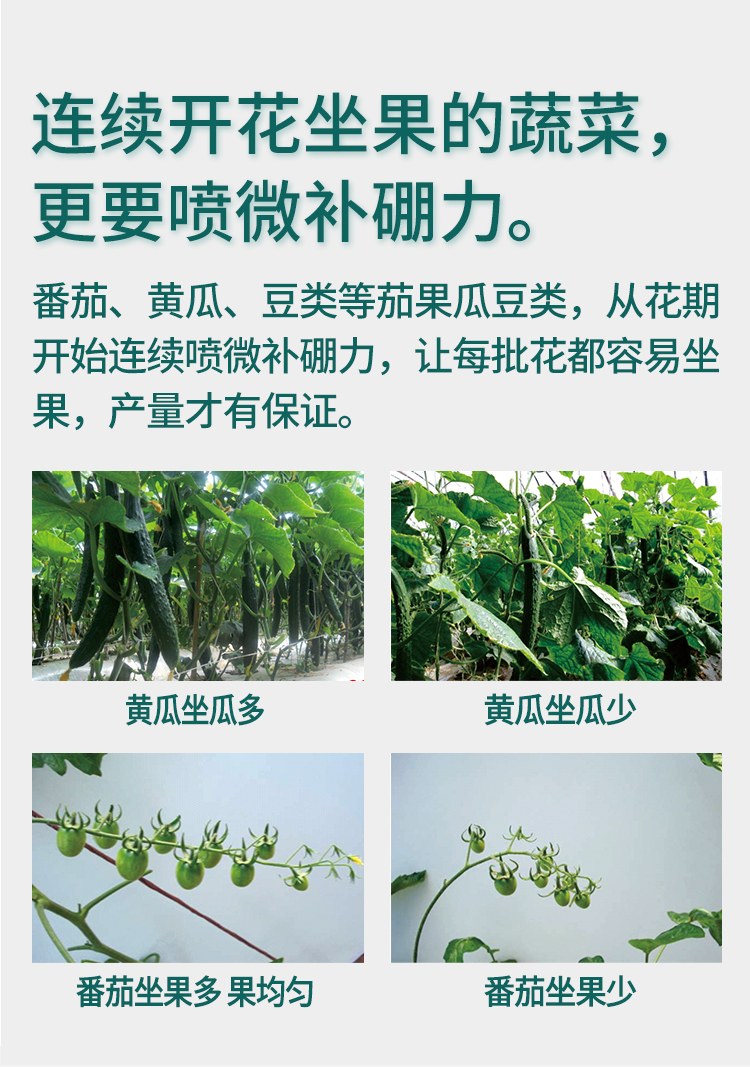 微补硼力_10.jpg