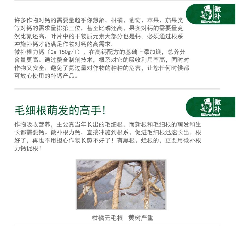 微补根力钙_02.jpg