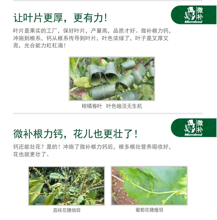 微补根力钙_03.jpg
