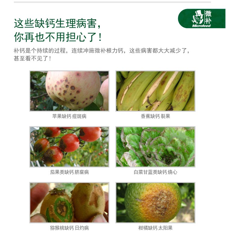 微补根力钙_05.jpg