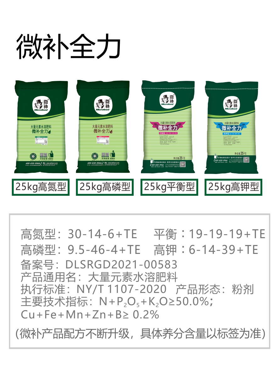 微补全力-（官网）750_01.jpg