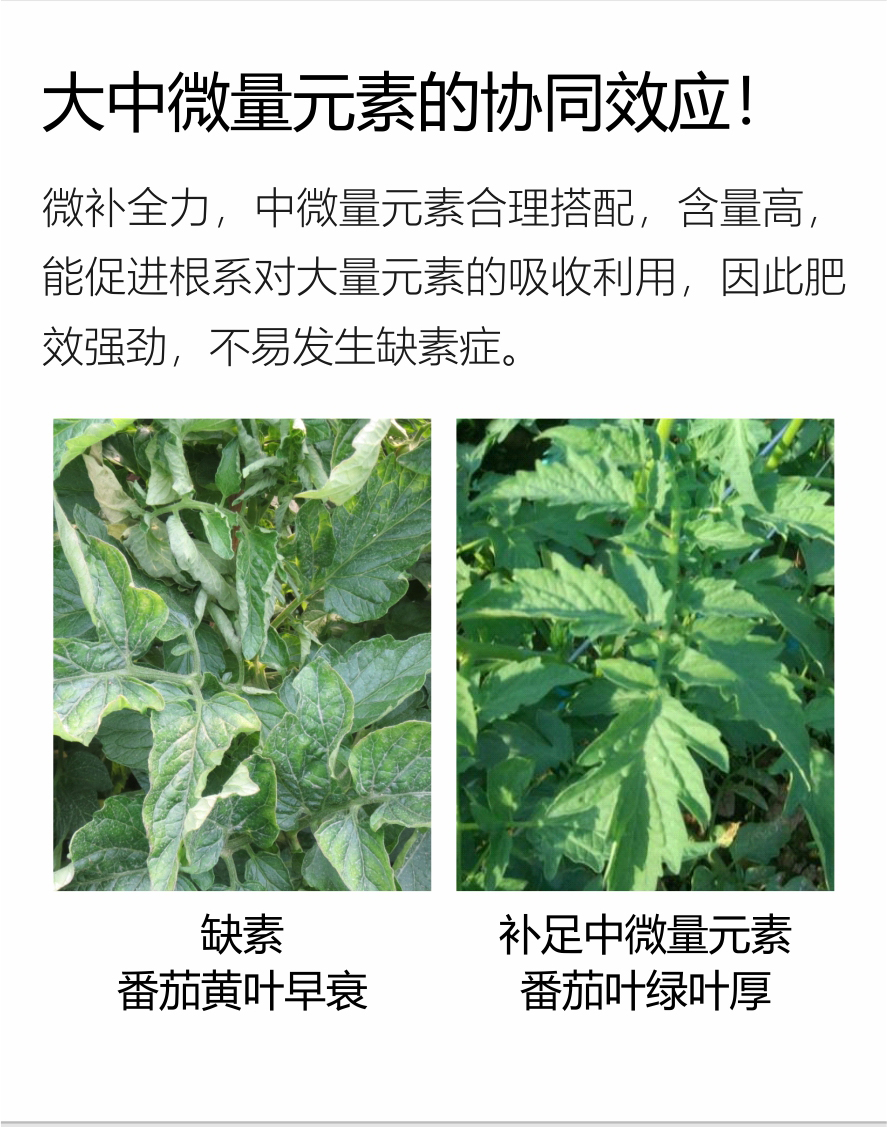 微补全力-（官网）750_03.jpg