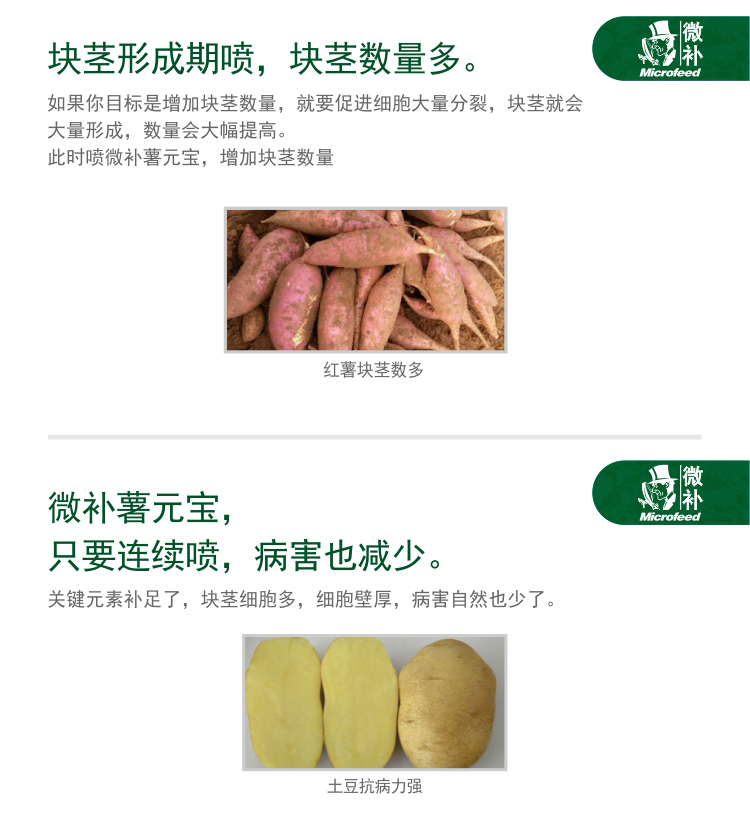 微补薯元宝_03.jpg