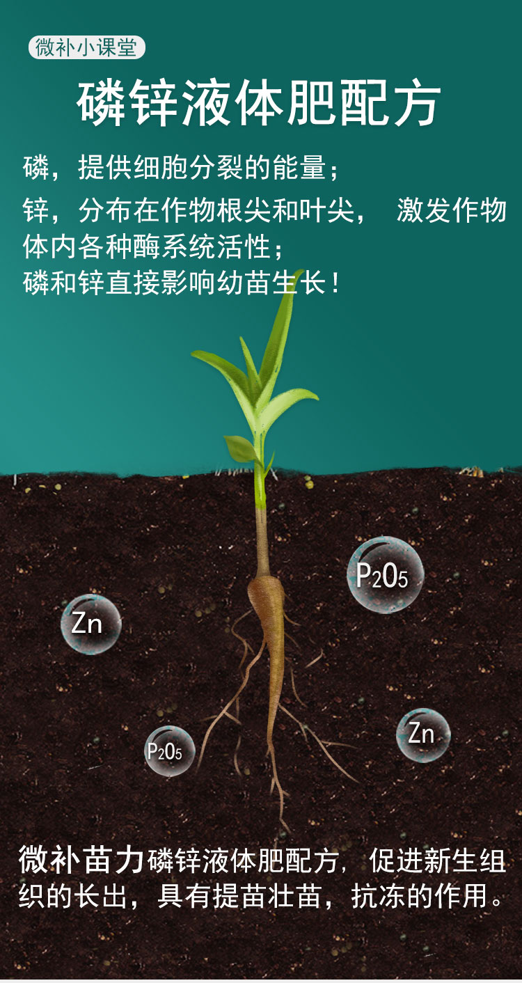 微补苗力_02.jpg