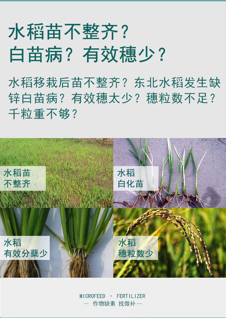 微补苗力_04.jpg