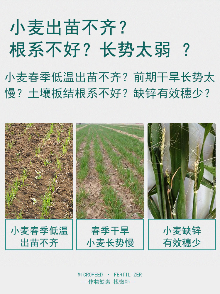 微补苗力_06.jpg