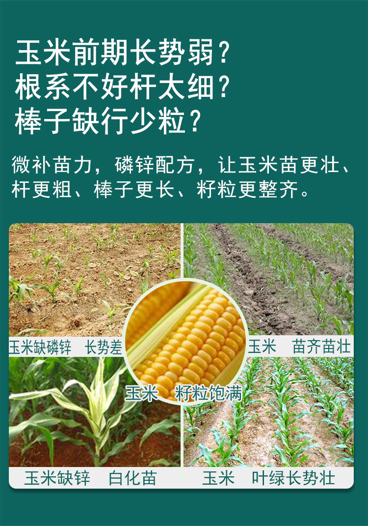 微补苗力_07.jpg