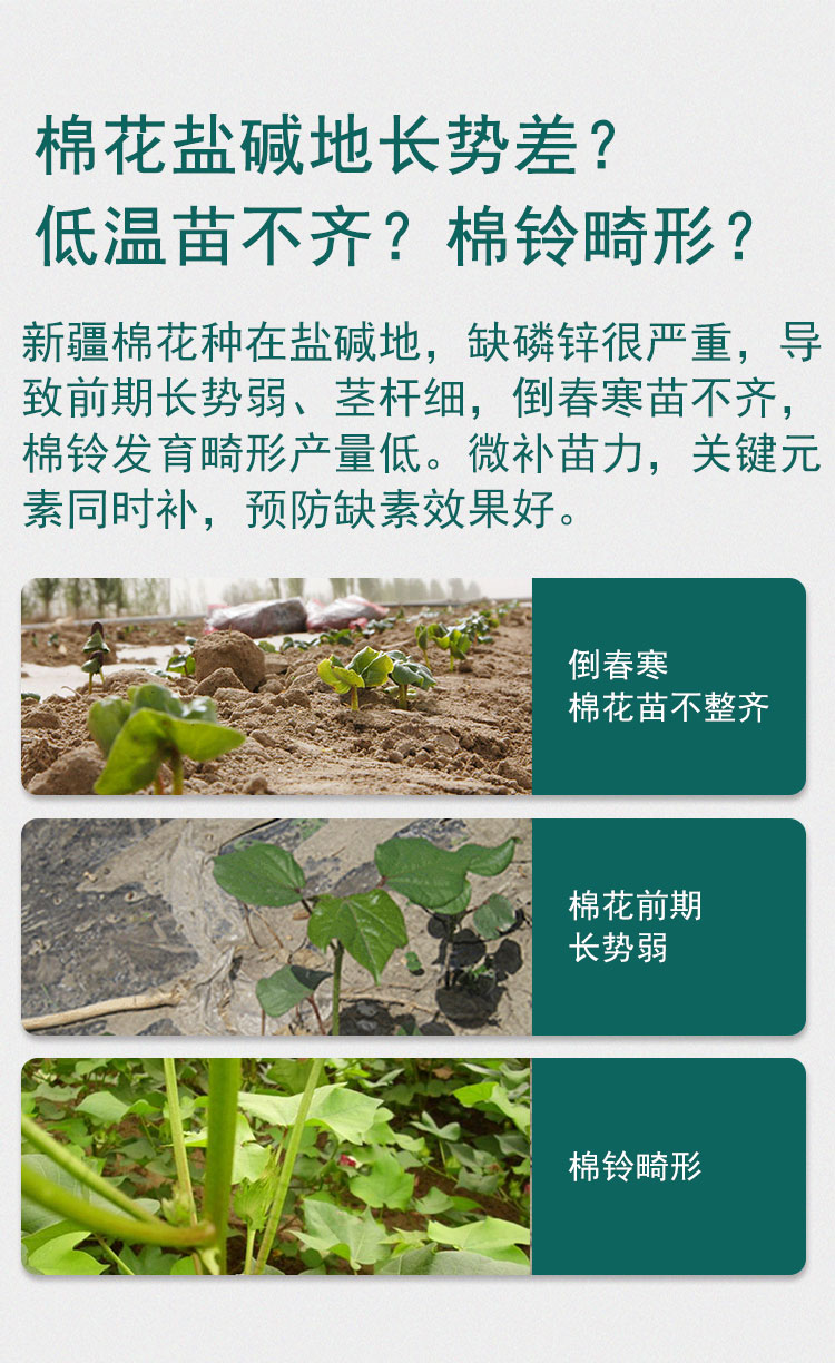 微补苗力_08.jpg