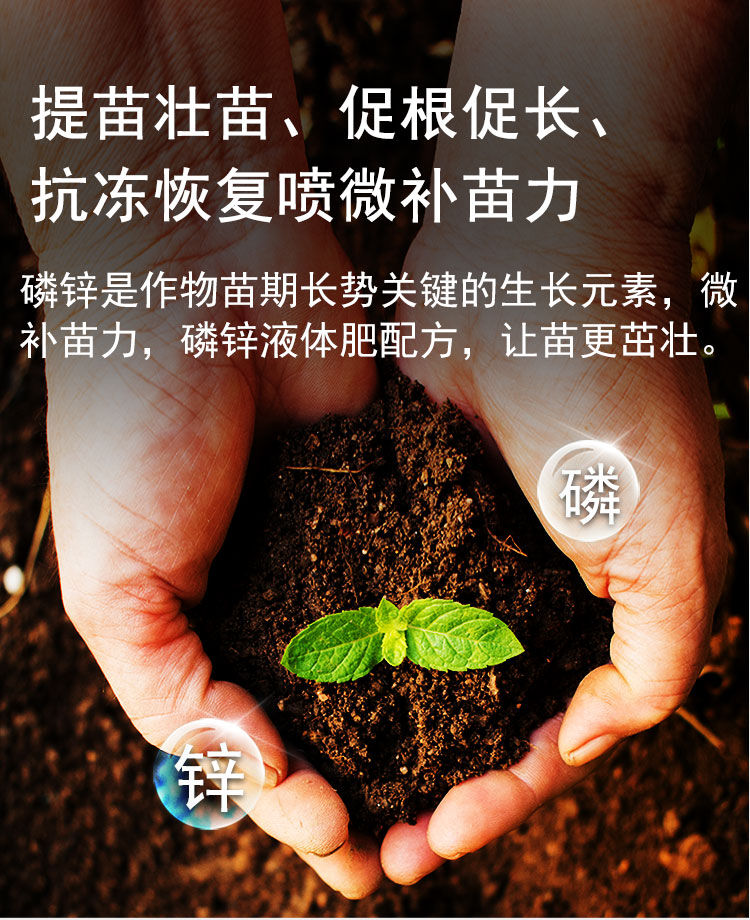 微补苗力_10.jpg