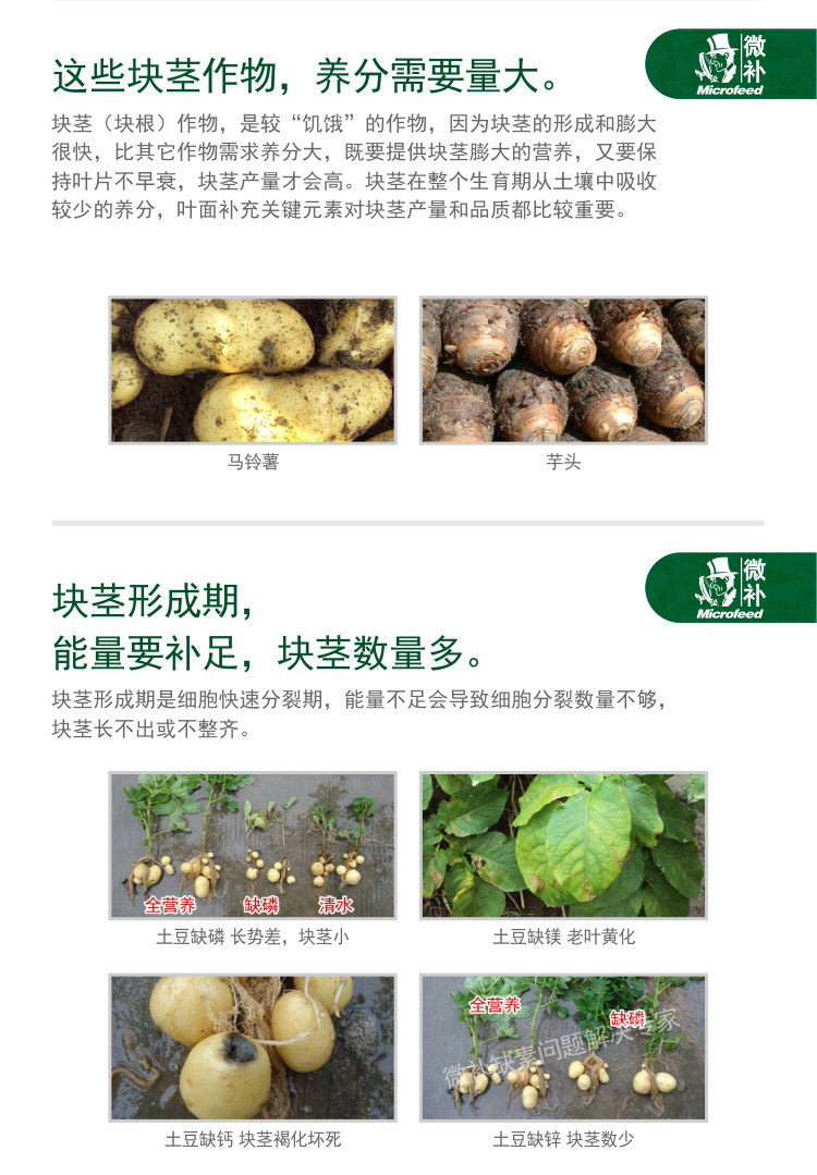 微补薯元宝_02.jpg