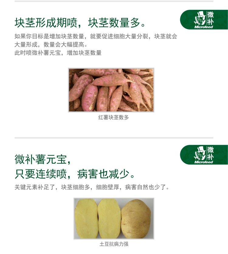 微补薯元宝_03.jpg