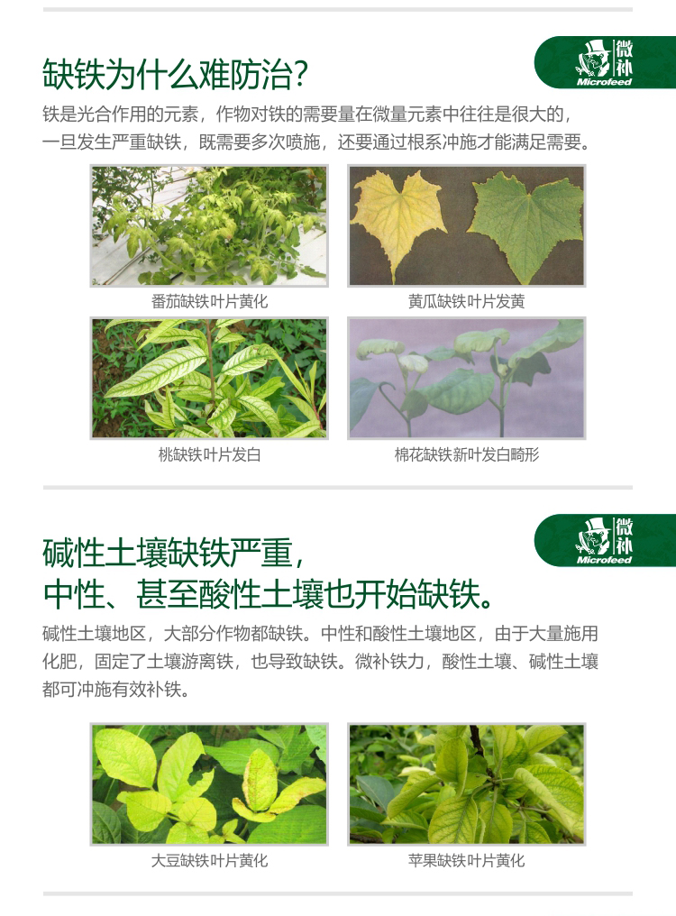 微补铁力_02.jpg