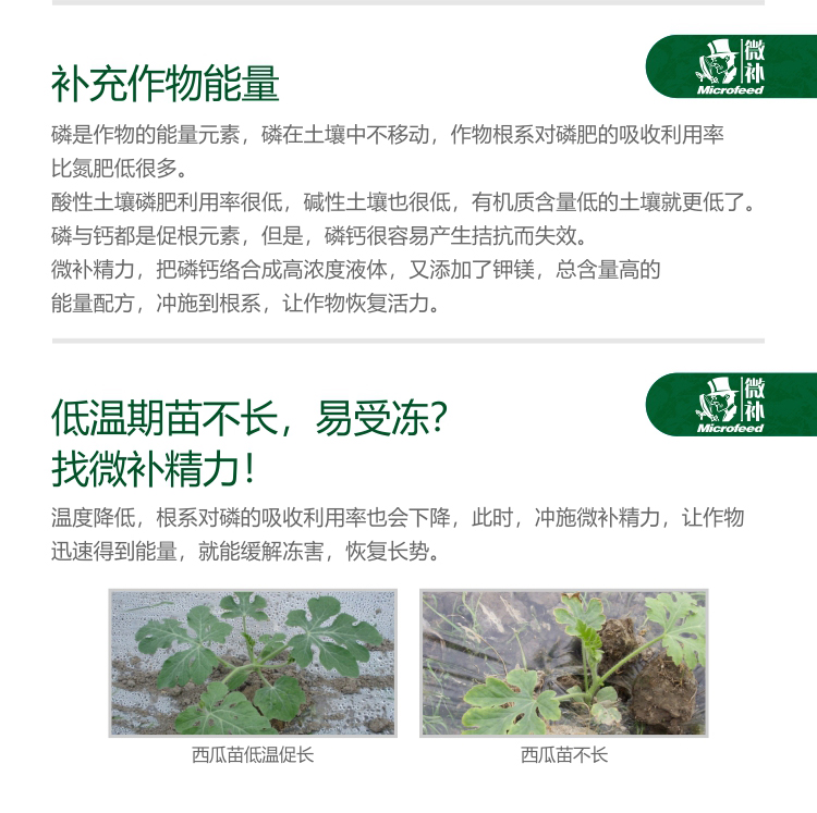 微补精力1_02.jpg