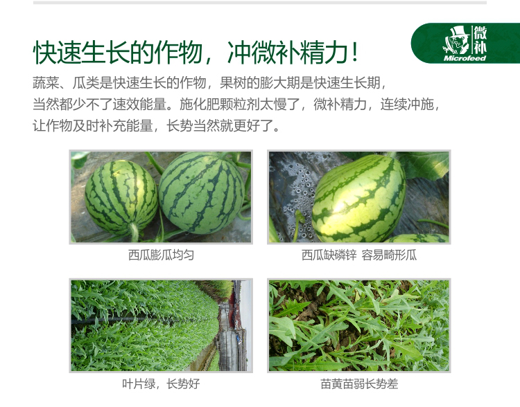 微补精力1_04.jpg
