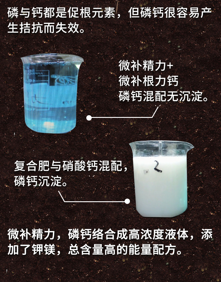 微补精力_03.jpg