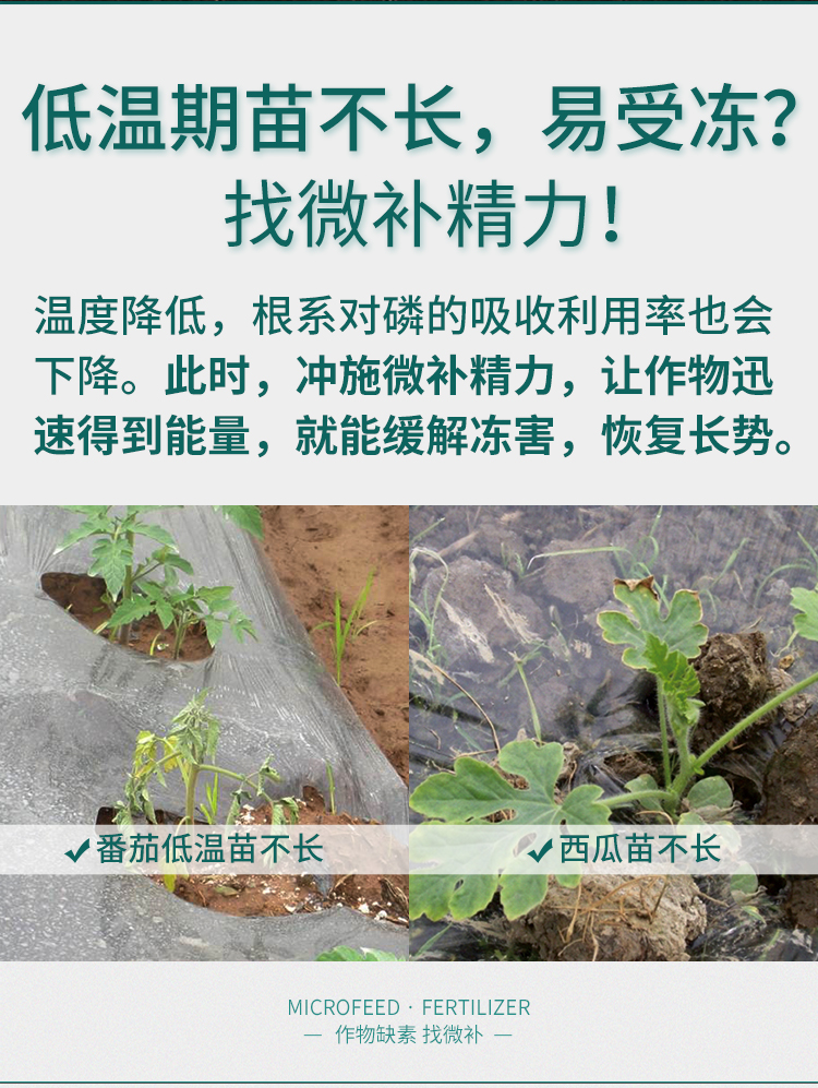 微补精力_04.jpg