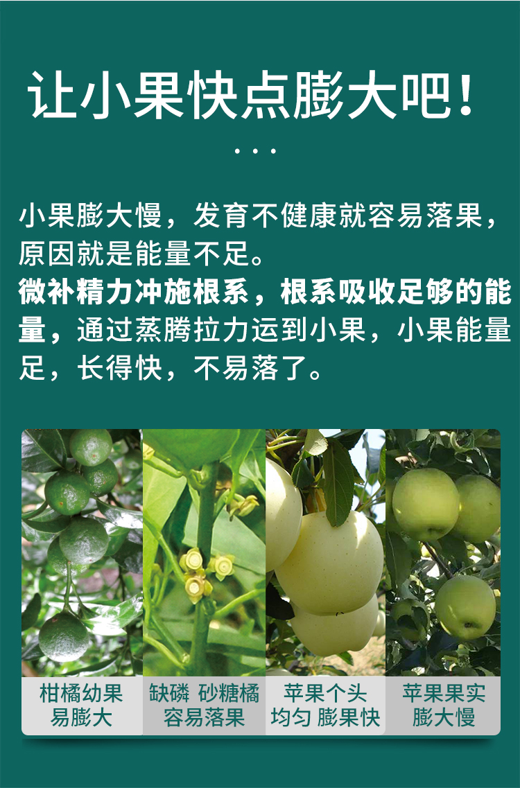 微补精力_06.jpg
