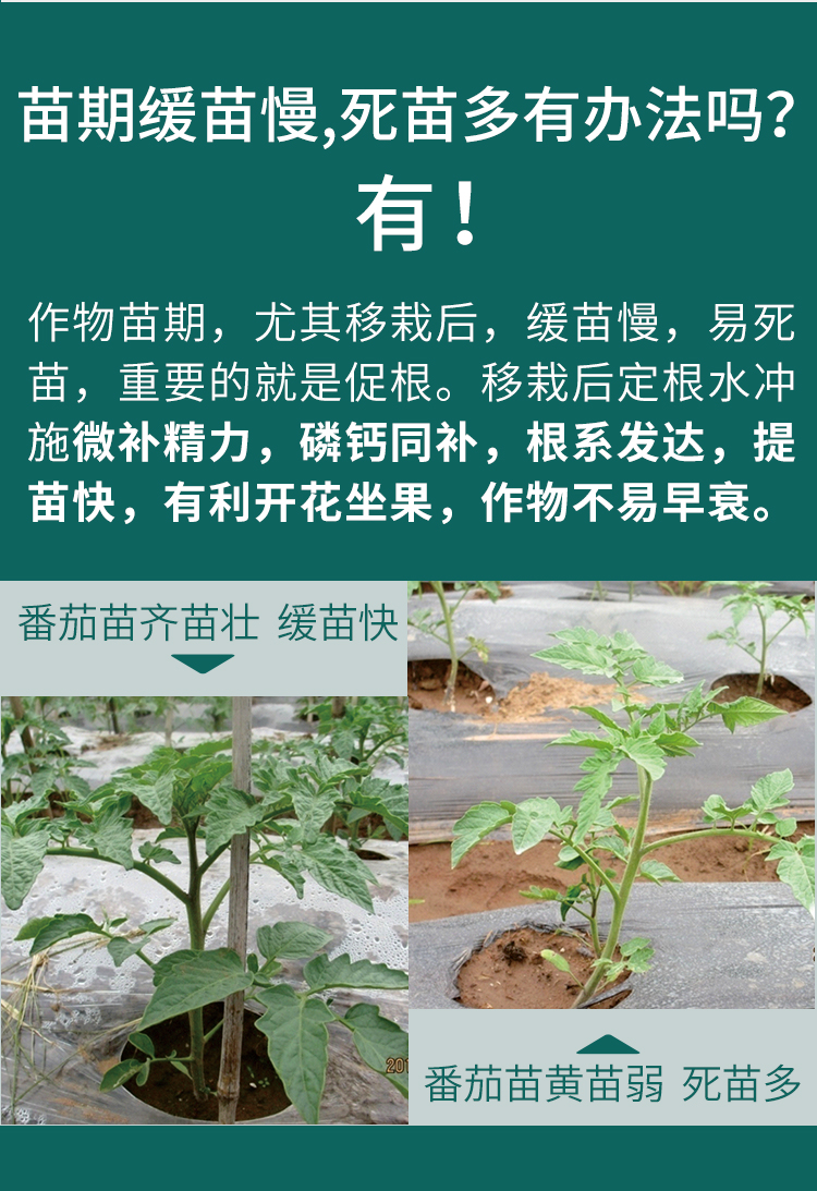 微补精力_08.jpg