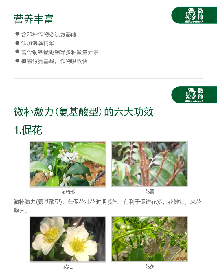 微补激活剂_02.jpg