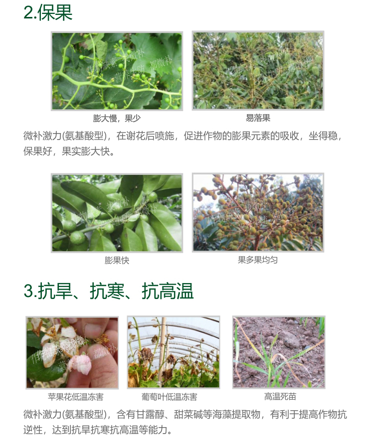 微补激活剂_03.jpg