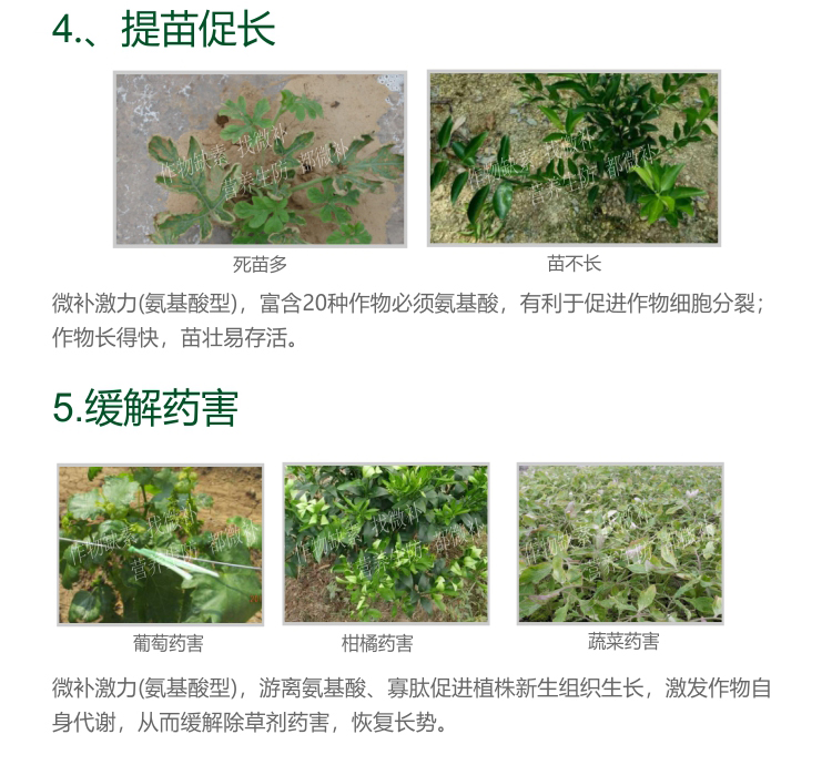 微补激活剂_04.jpg
