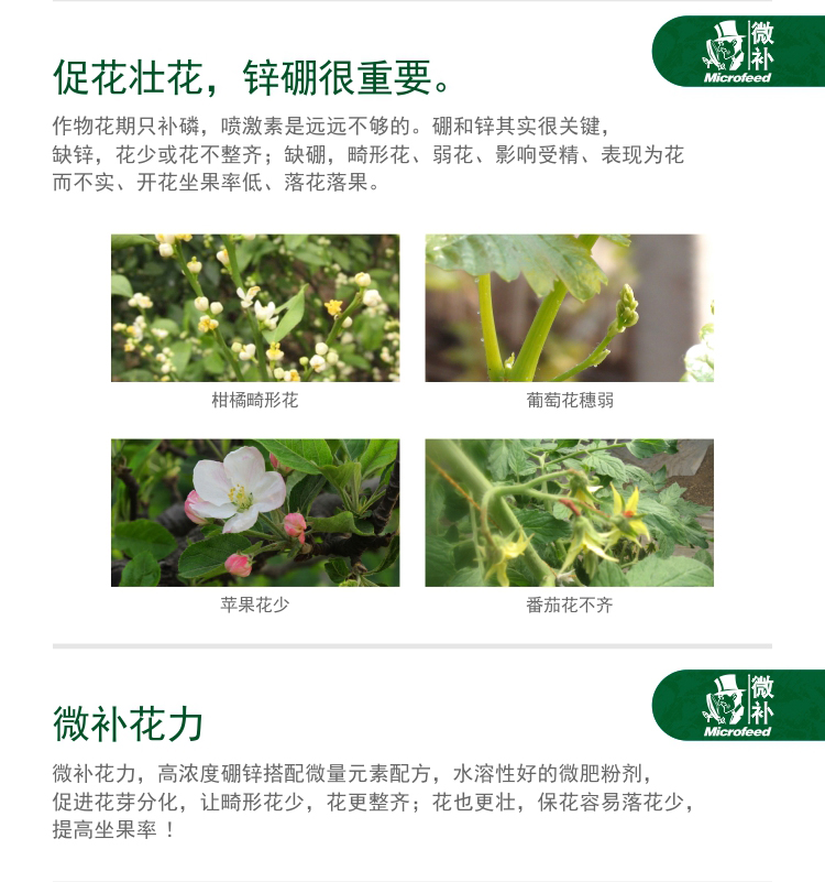 微补花力_02.jpg