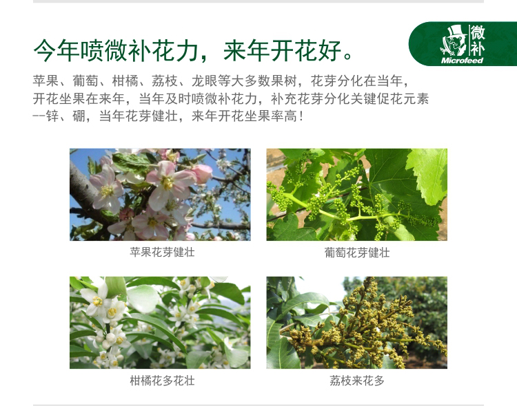 微补花力_03.jpg