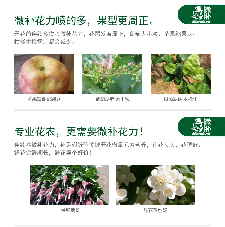 微补花力_05.jpg