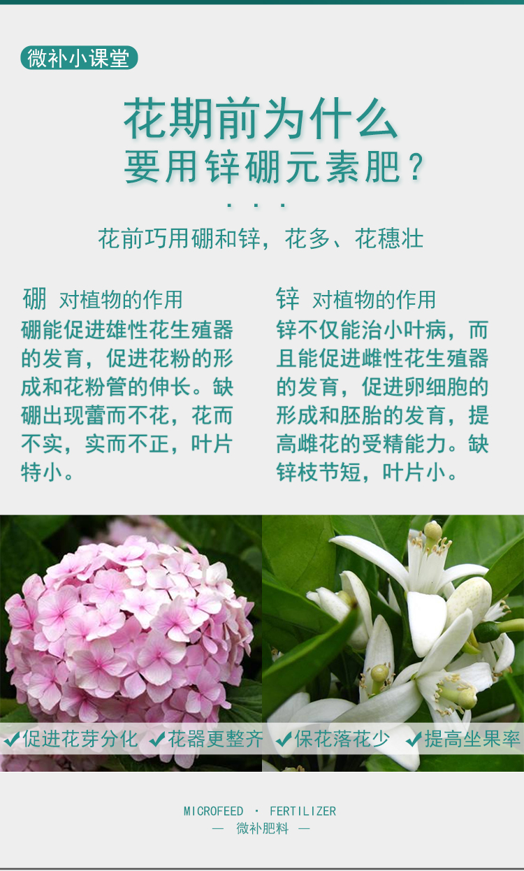 微补花力_03.jpg