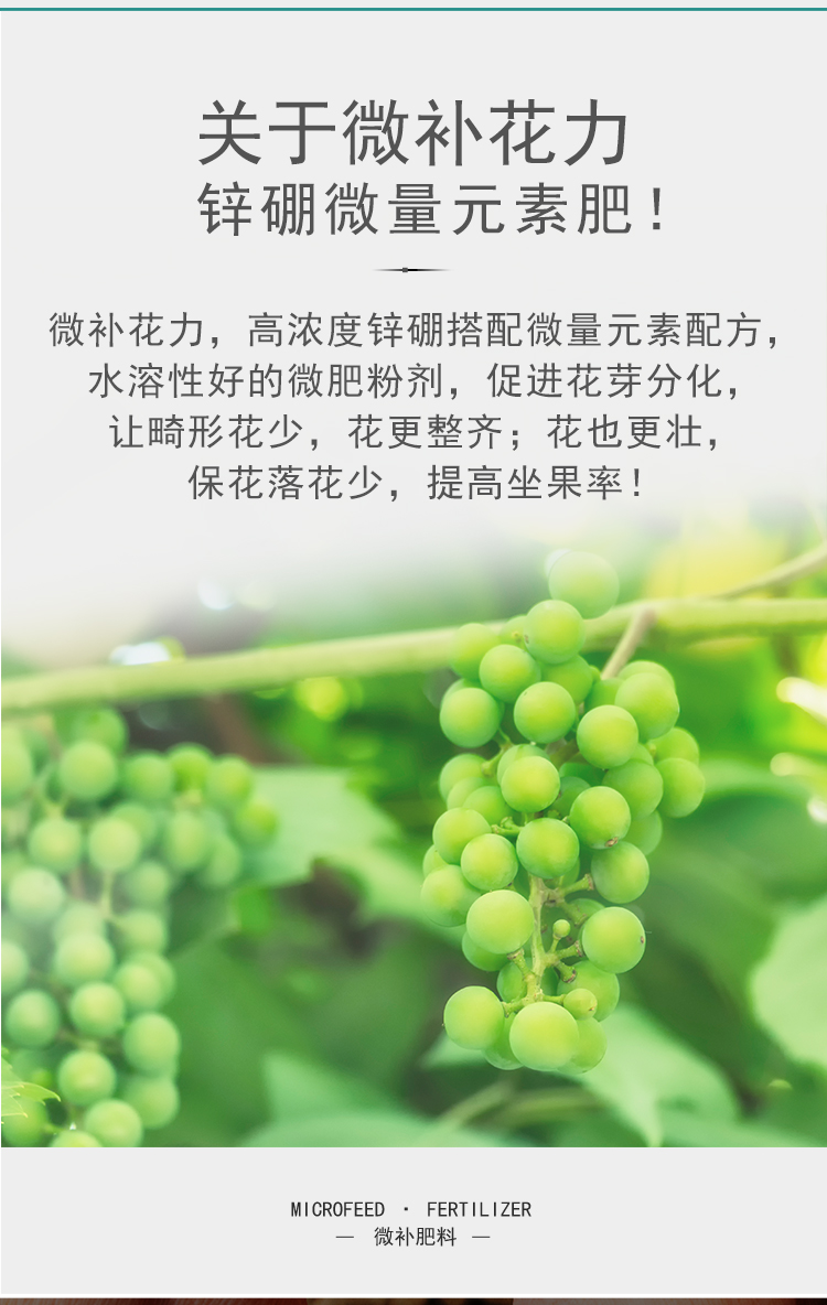 微补花力_05.jpg