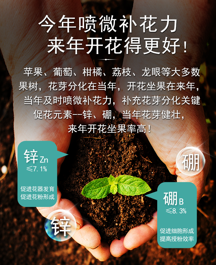 微补花力_06.jpg