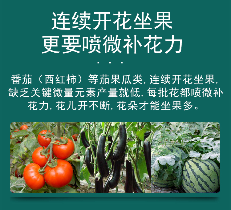微补花力_08.jpg