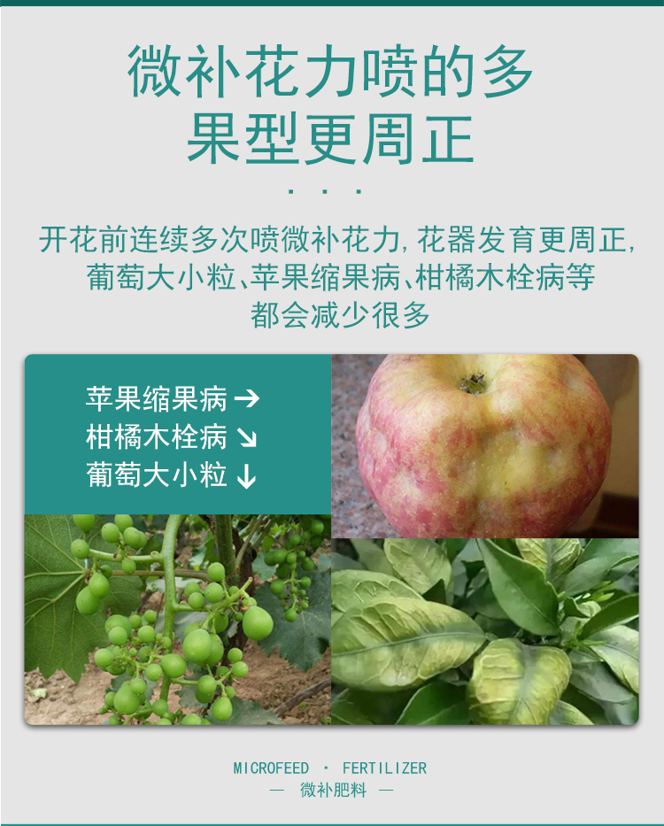 微补花力_09.jpg