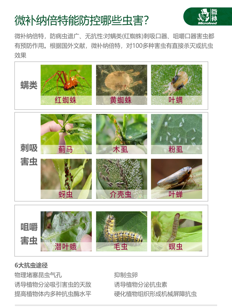 微补RBI纳米助剂9_03.jpg