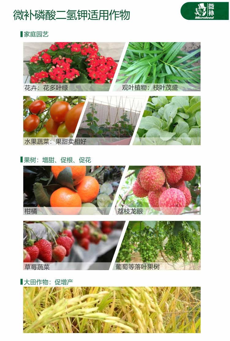 微补磷酸二氢钾【官网】_02.jpg