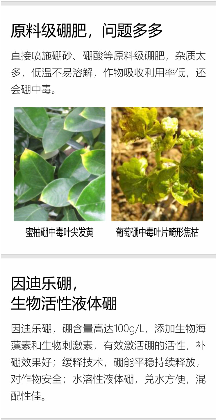 因迪乐有机海藻硼750_03.jpg