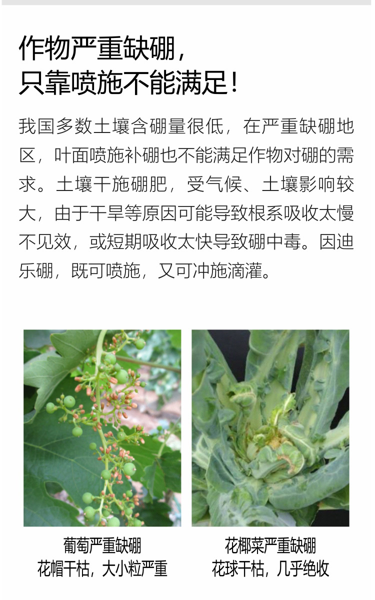 因迪乐有机海藻硼750_04.jpg