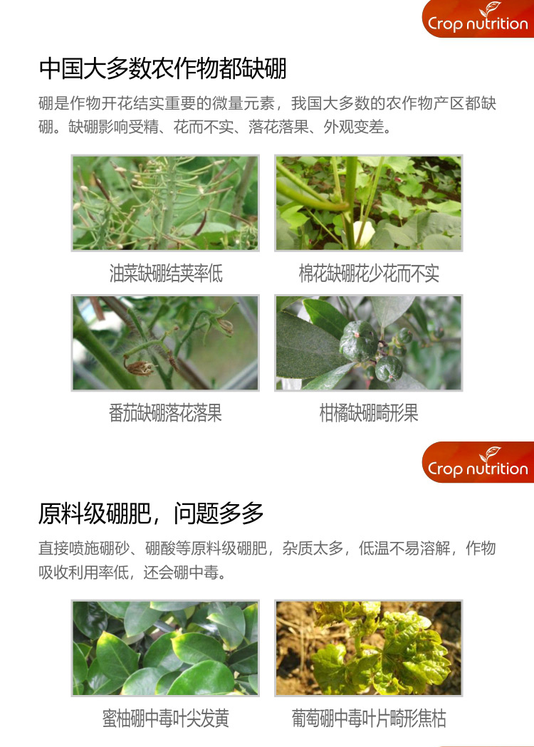 因迪乐有机海藻硼_02.jpg