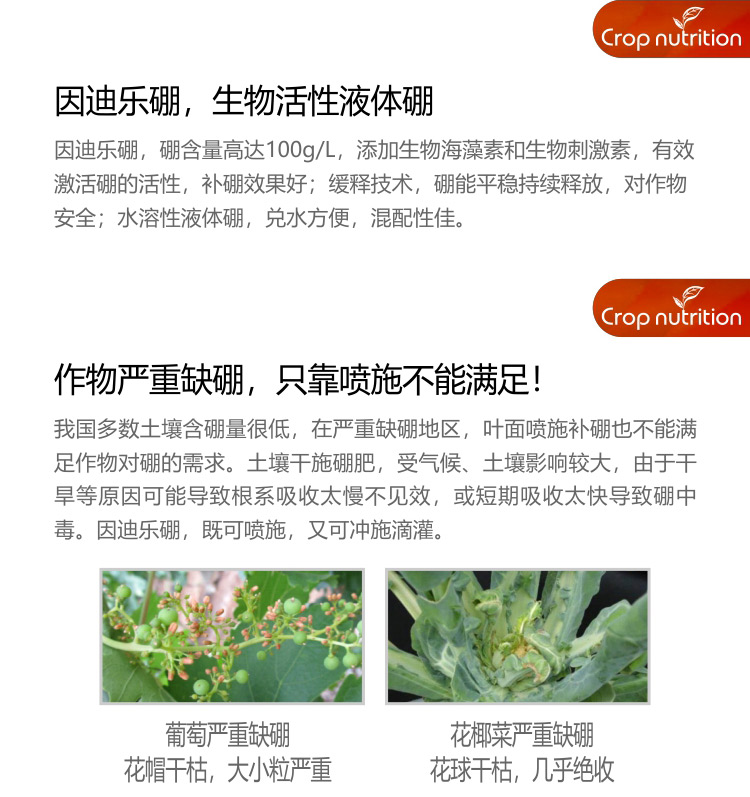 因迪乐有机海藻硼_03.jpg