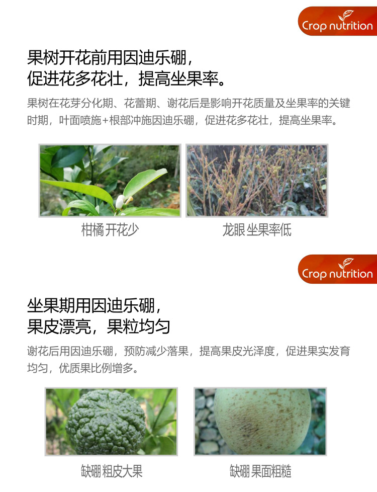 因迪乐有机海藻硼_04.jpg