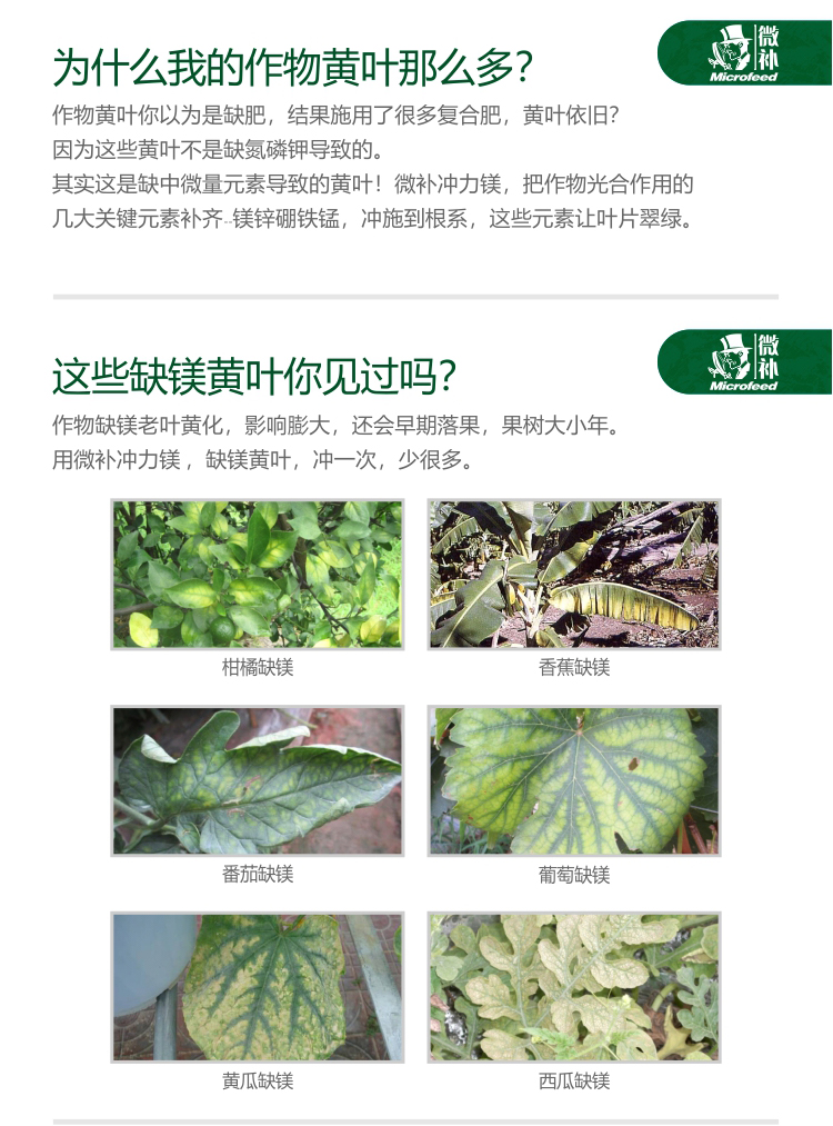 微补冲力镁_02.jpg