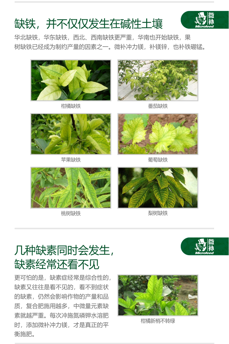 微补冲力镁_04.jpg