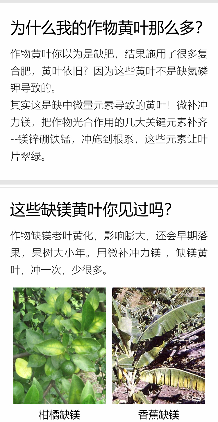 微补冲力镁1_02.jpg