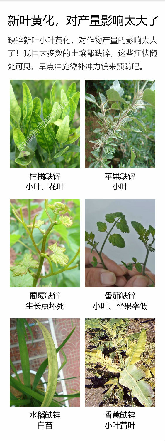 微补冲力镁1_04.jpg