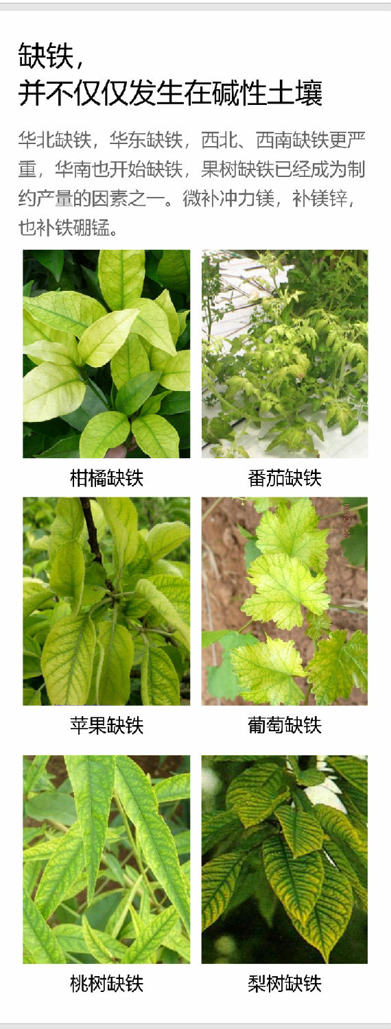 微补冲力镁1_05.jpg