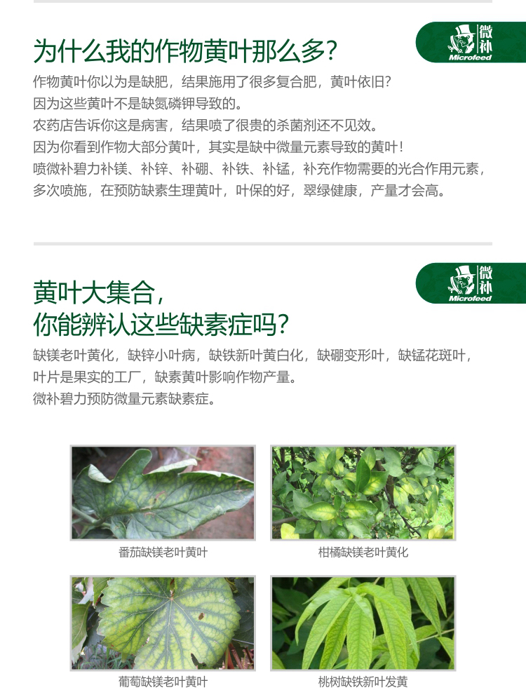 微补碧力【】_02.jpg
