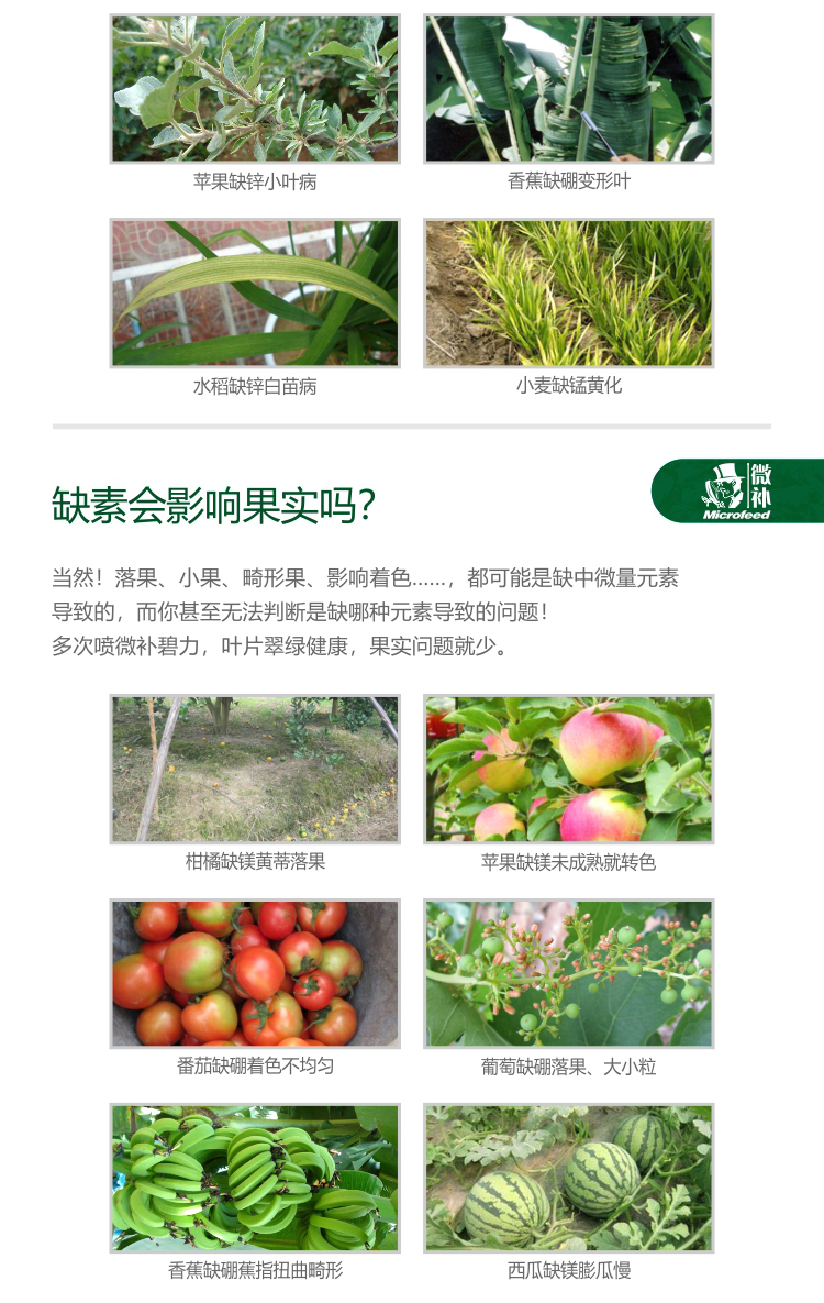 微补碧力【】_03.jpg