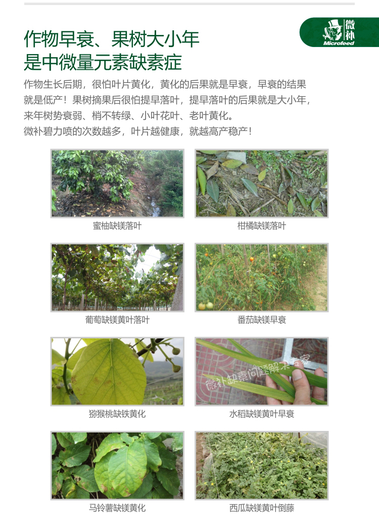 微补碧力【】_04.jpg