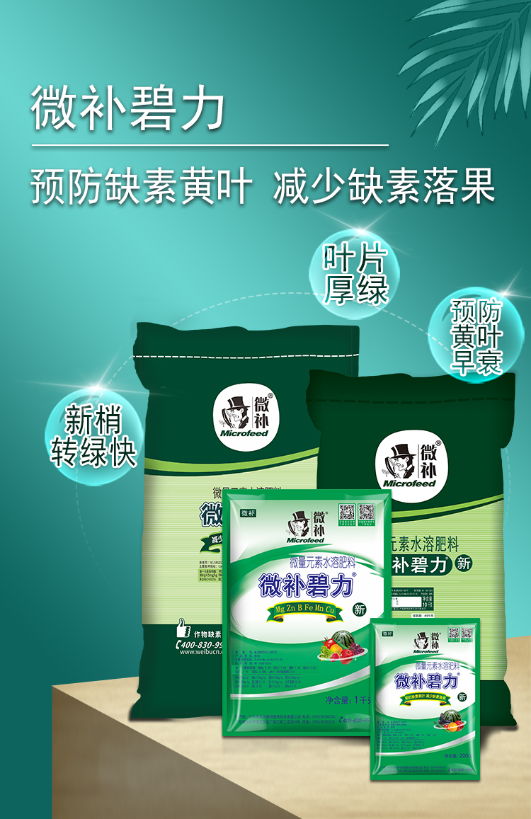 微补碧力_01.jpg