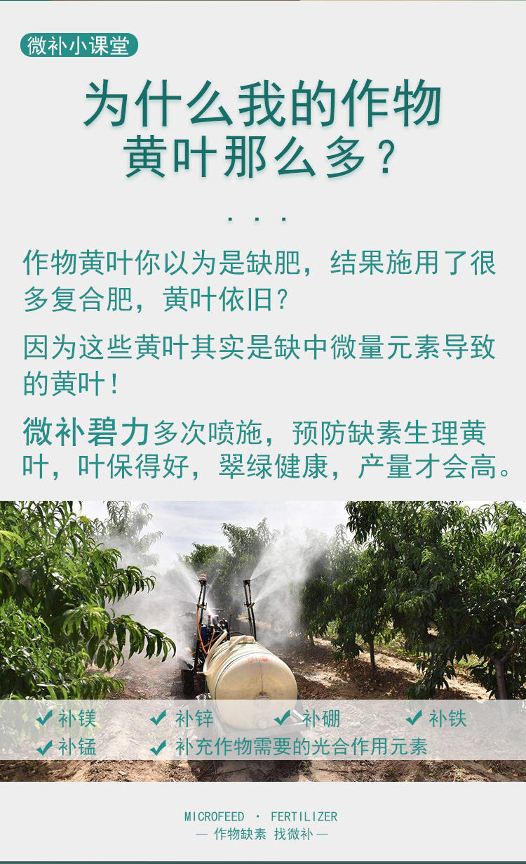 微补碧力_02.jpg